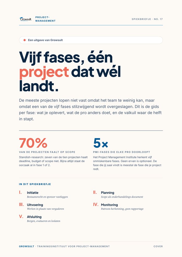 Voorbeeld: De vijf projectfases